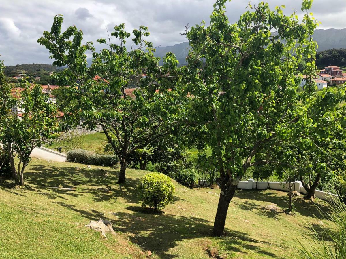 Apartamentos - Casa El Ancla Celorio  Eksteriør bilde